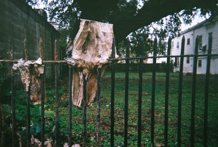 0101 - Fence in Tree