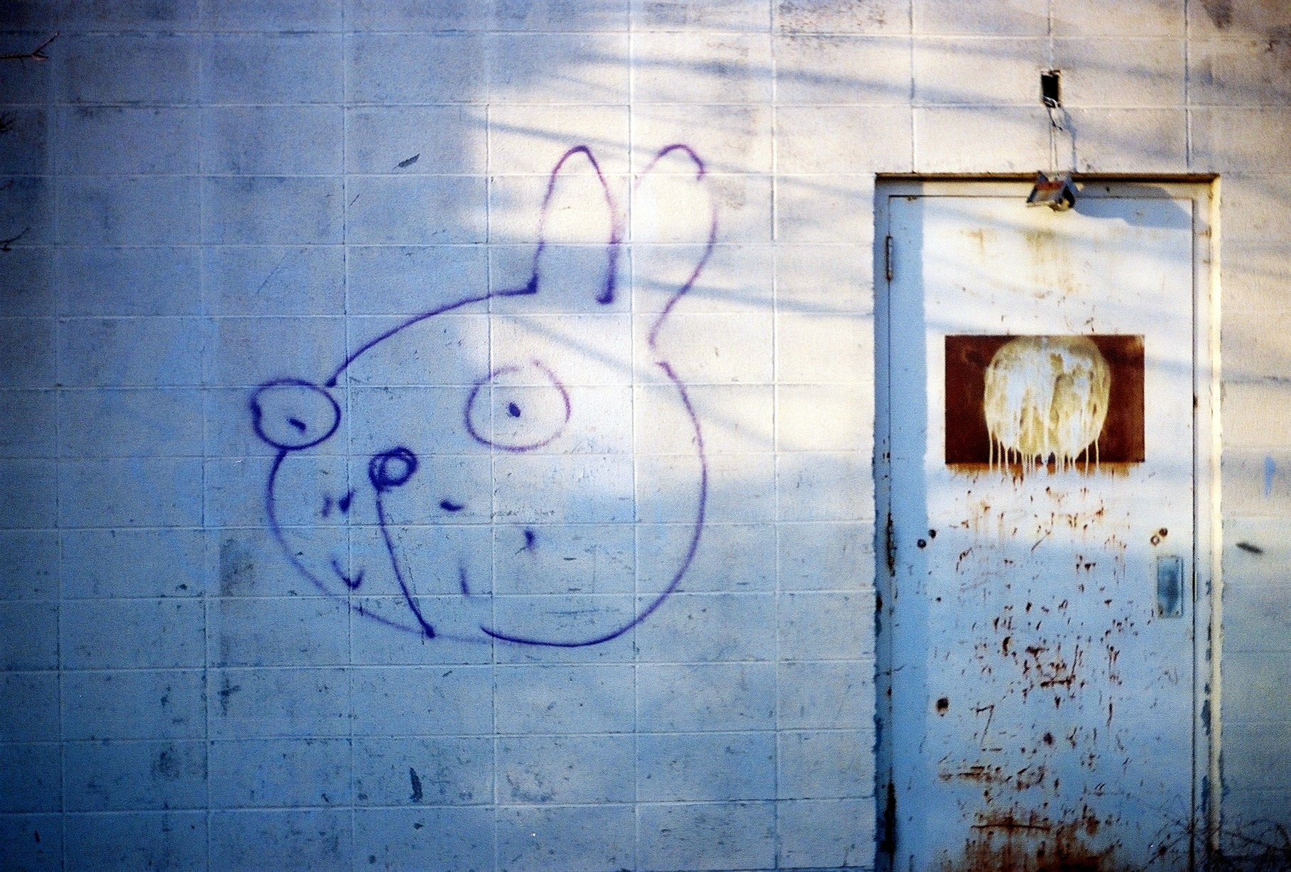 0217 - Wall Bunny