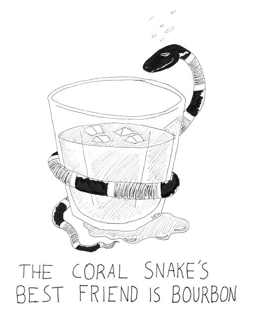 Remember the coral snake rhyme: Red into yellow, kill the fellow; red into black, bottle of Jack.